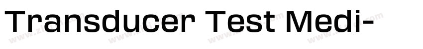 Transducer Test Medi字体转换
